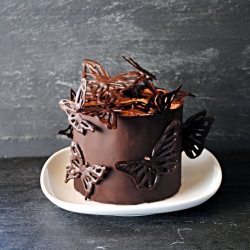 Chocolate Butterfly Cake