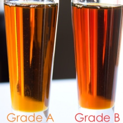 Grade B Maple Syrup