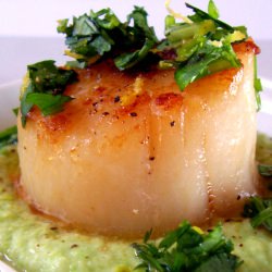 Sea Scallop Cilantro Gremolata