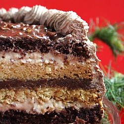 Cake Squared