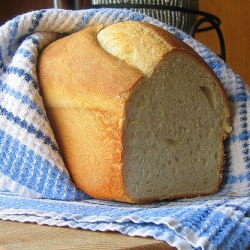 Homemade Sandwich Bread