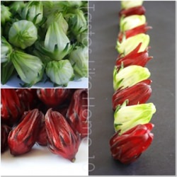Sorrel (Hibiscus Fruit)