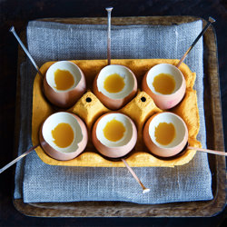The best Eggs ever