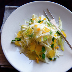 Raw Salad of Fennel, Seville Orange