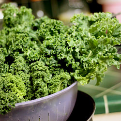 Kale Chip Quills