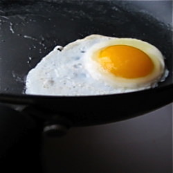 How to Fry an Egg