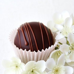 Prune Truffles