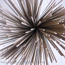 Vegetarian Stir Fry Soba Noodles