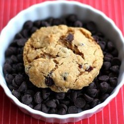 Dark Chocolate Cranberry Cookies