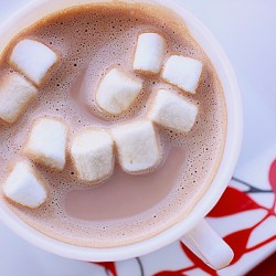 Hershey’s Hot Cocoa Eleven Ways