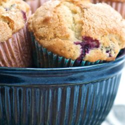 Blueberry Muffins
