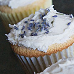 Vanilla Cupcakes with Lavender