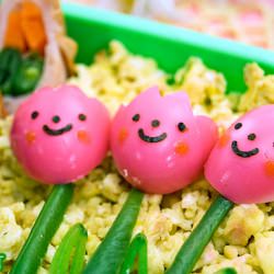 Tulip Trio Bento
