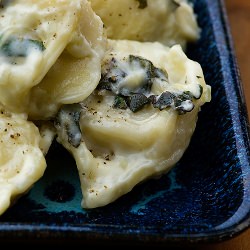 Tortellini with Basil Cream Sauce