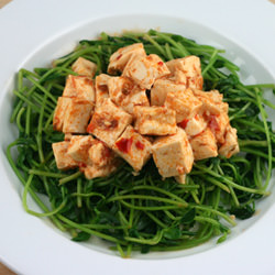 Mapo Tofu with Pea Sprouts