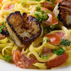 Scallops with Tomato Cream Sauce