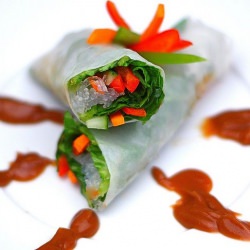 Vegetable Spring Rolls
