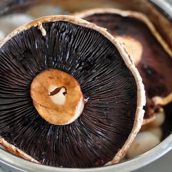 Mushroom Barley Soup