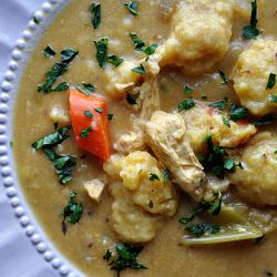 Chicken & Dumplings