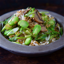 Sesame Toasted Basmati Rice