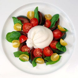 Burrata