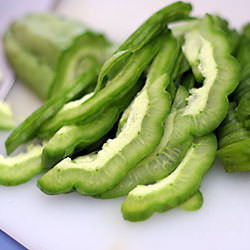 Bittergourd