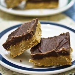 Chocolate Peanut Butter Squares