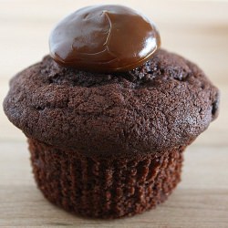 Chocolate Cupcakes