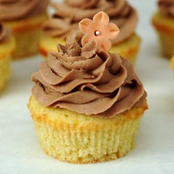 Cupcakes with Nutella Frosting