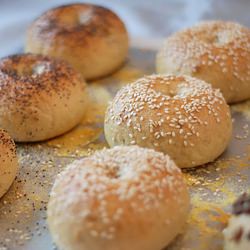 Homemade Bagels