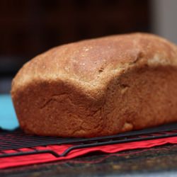 Whole Wheat Bread