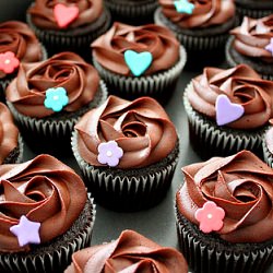 Chocolate Cupcakes