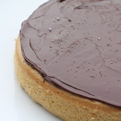Salted Chocolate Ganache Cake