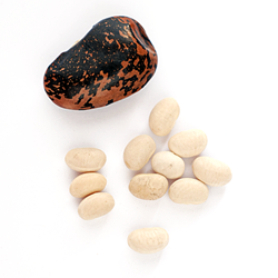 Gigantes Beans