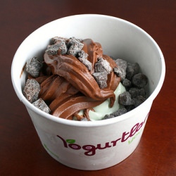 Frozen Yogurt