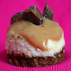 Mini Toffee Crunch Cheesecakes