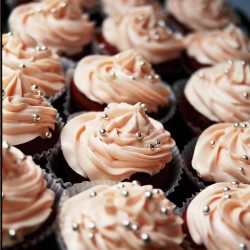 Red Velvet Cream Cheese Cupcakes