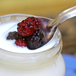 Yogurt Cheese