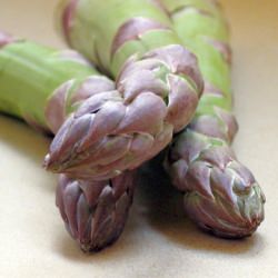 Fresh Asparagus