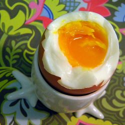 Soft Boiled Egg