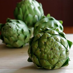 Grilled Artichokes with Aioli