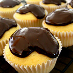 Boston Cream Pie Cupcakes