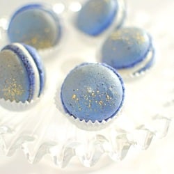 Blueberry Macarons with Orange