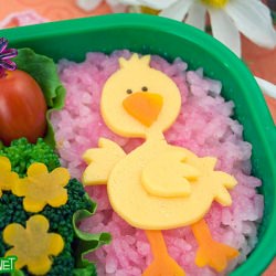 Spring Chick Bento
