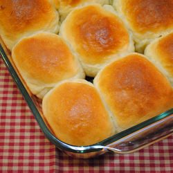 Sour Cream Yeast Rolls
