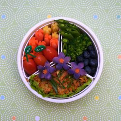 Fried Rice Bento