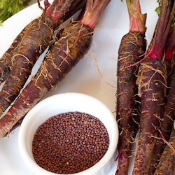 Black Carrots and Mustard seeds