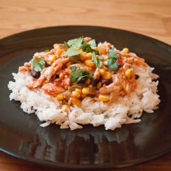 Easy Mango Chicken