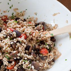 Vegan Barley Salad