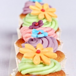 Chocolates, Cakes and Photos